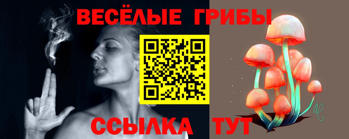 Псилоцибиновые грибы Psilocybine cubensis Ярославль