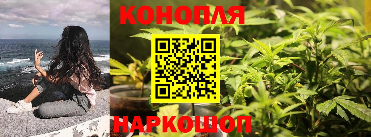 МАРИХУАНА ГИДРОПОН Ярославль